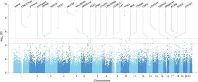 Genome-wide association study for vascular aging highlights pathways shared with cardiovascular traits in Koreans